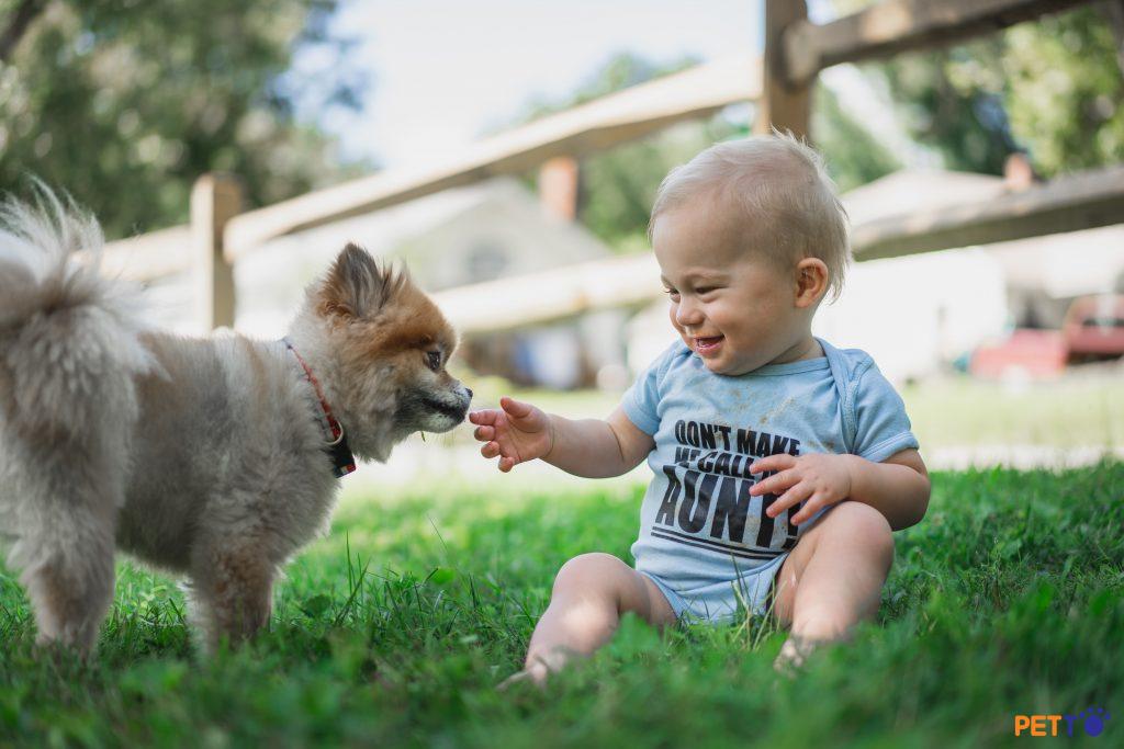 Dạy con của bạn cách đối xử với bé chó