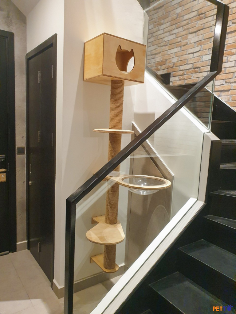 Một chiếc tháp mèo đính tường khá đơn giản